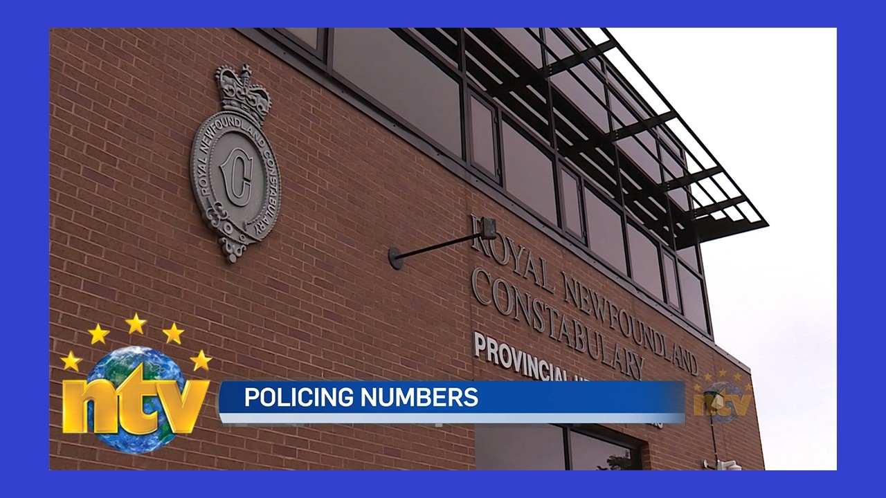 Ассоциация Республиканской национальной полиции выступает за увеличение числа полицейских.