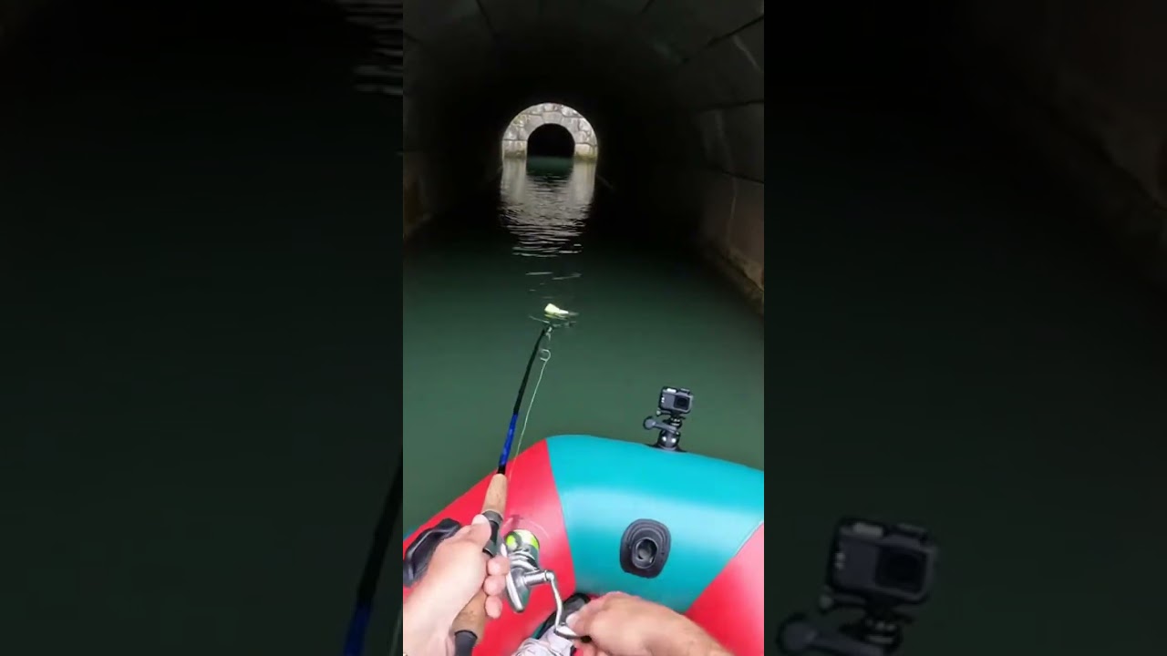 Lure fishing in the cave  