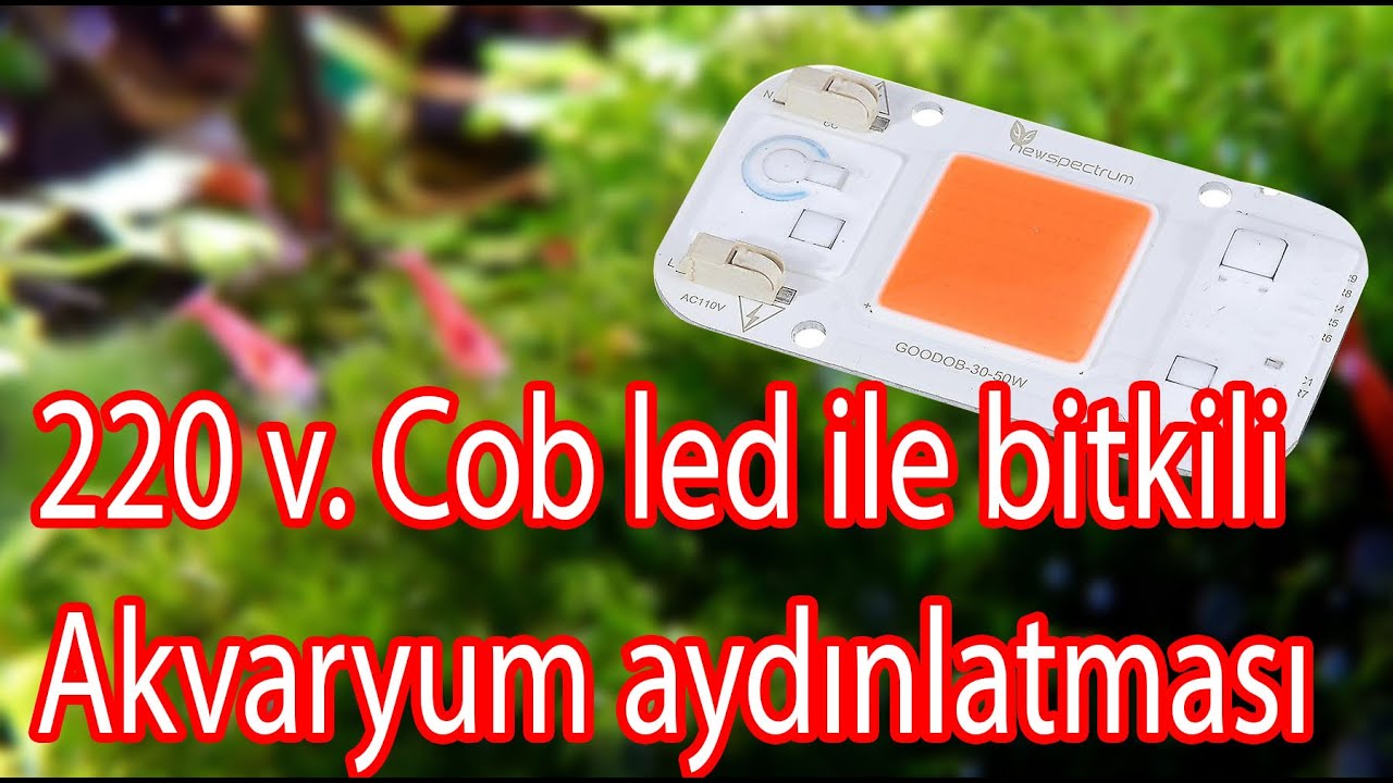 Dimmlenebilir 220 volt fullspectrum cob led  ile 60watt ayarlanabilir bitki b&uuml;y&uuml;tme ışığı yapımı
