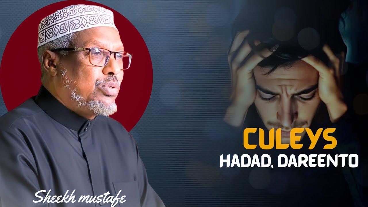 CULEYS ‼️ HADAD,  DAREENTO ‼️ SHEEKH MUSTAFE @QalbiSame-r4l 