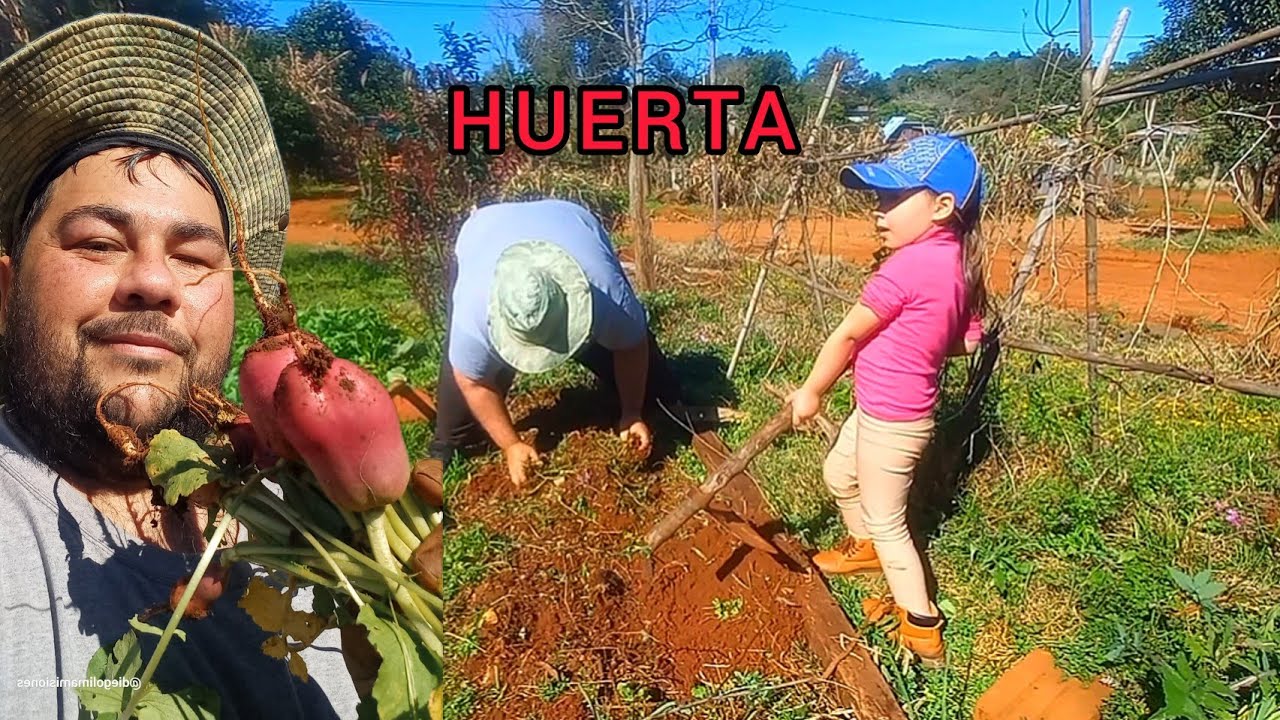 Cómo plantar Cebolla de forma correcta y paso a paso 🧅 Cebollita de Verdeo
