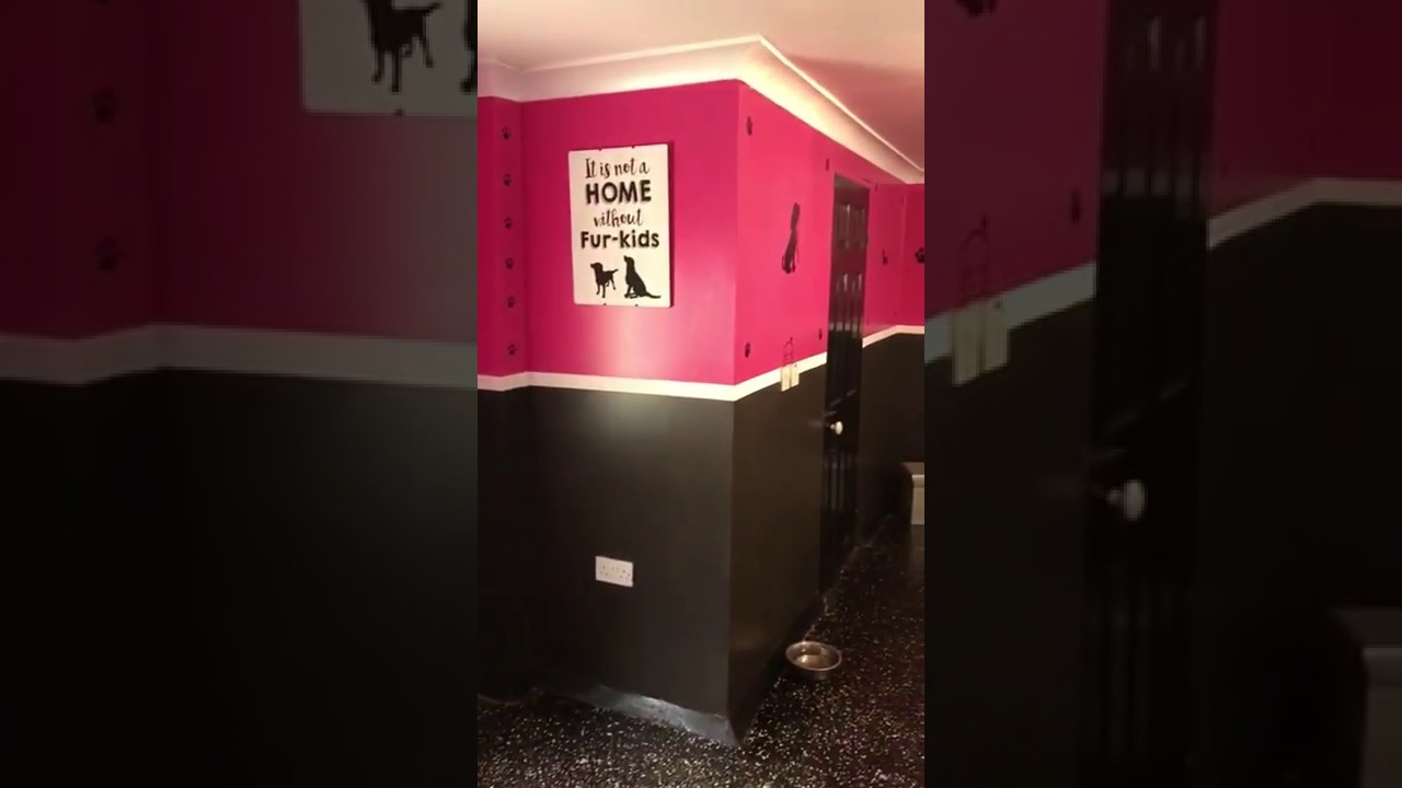 Doggy Day Care at Ellehcim Pace Your Pooch