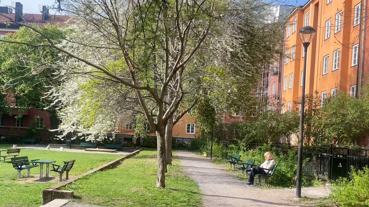 Stockholm Walks: Helgalunden. City in bloom. Relaxing walk in beautiful neighborhood. 4K60 fps