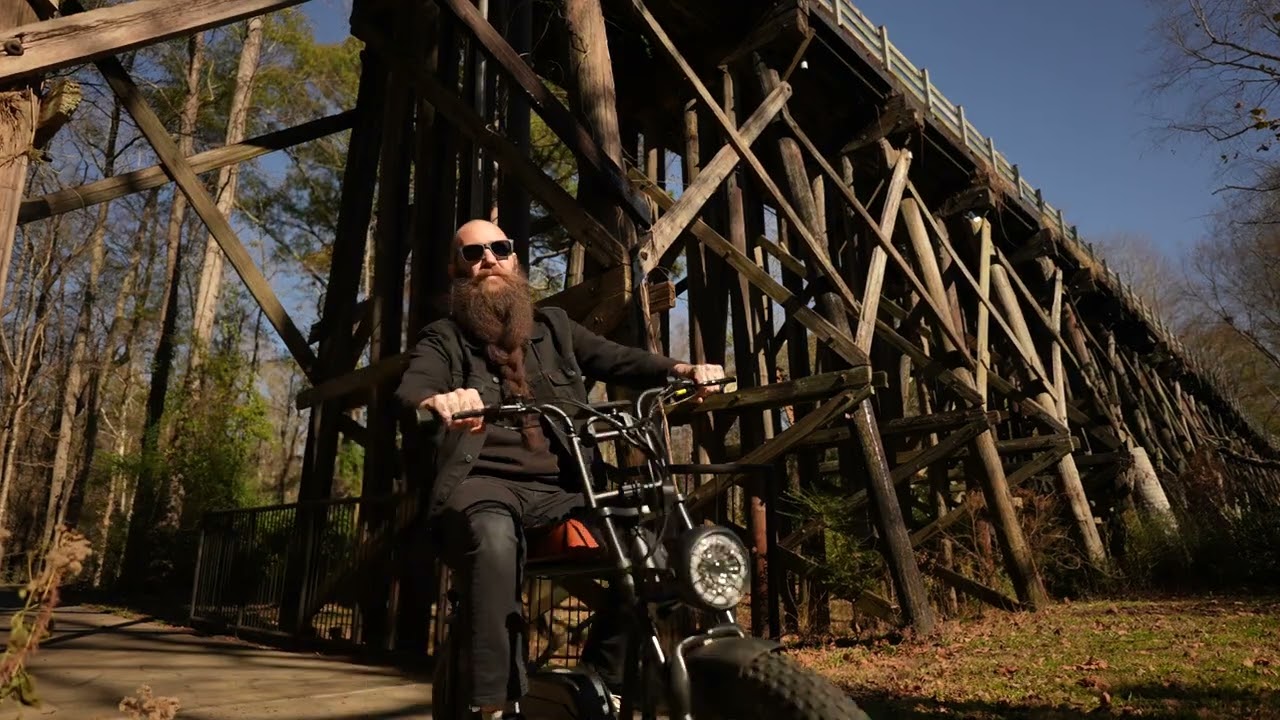 Tomofree FG20 Ebike| 2023 Upgraded Version| High-Speed Brushless Rear Hub Motor