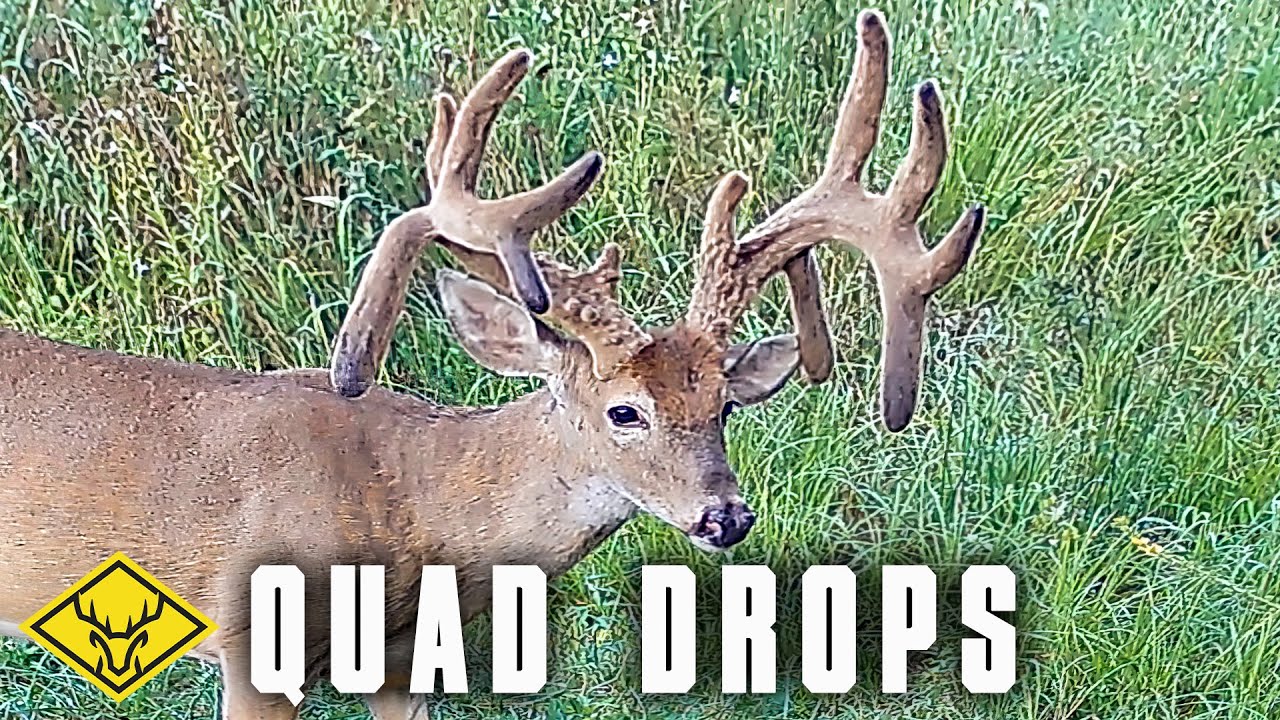 QUAD DROPS | Highs and Lows of Hunting a GIANT Buck!