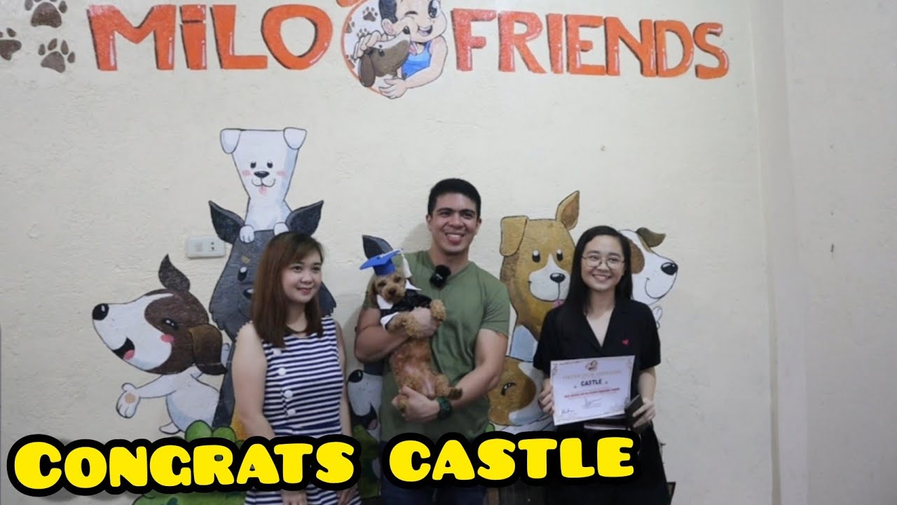 AGGRESSIVE CUTE DOG PART 3 (Ga-graduate na si Castle)