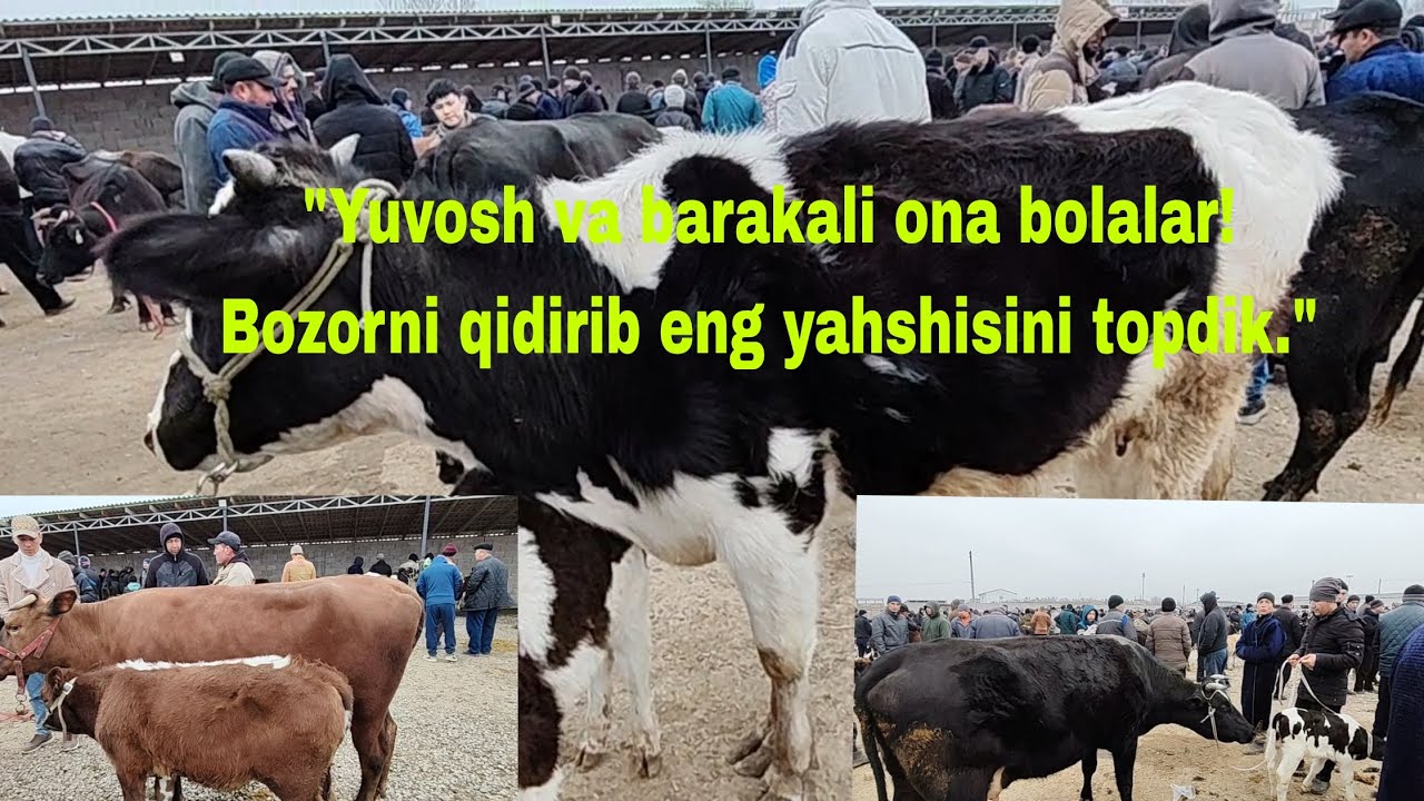 Jizzah v Do'stlik tumani mol bozori 