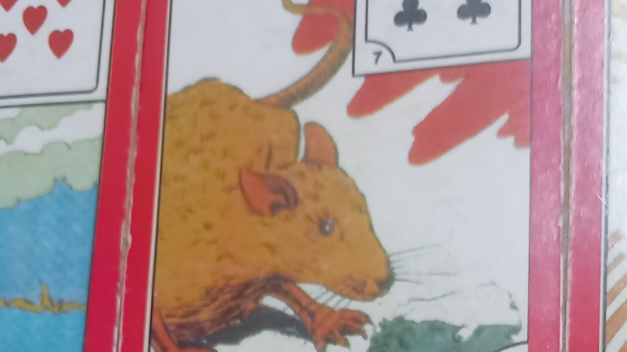 🗣️🐍DOMINGÃO ser AMADO💔 com RIVAL!!🎭⚰️