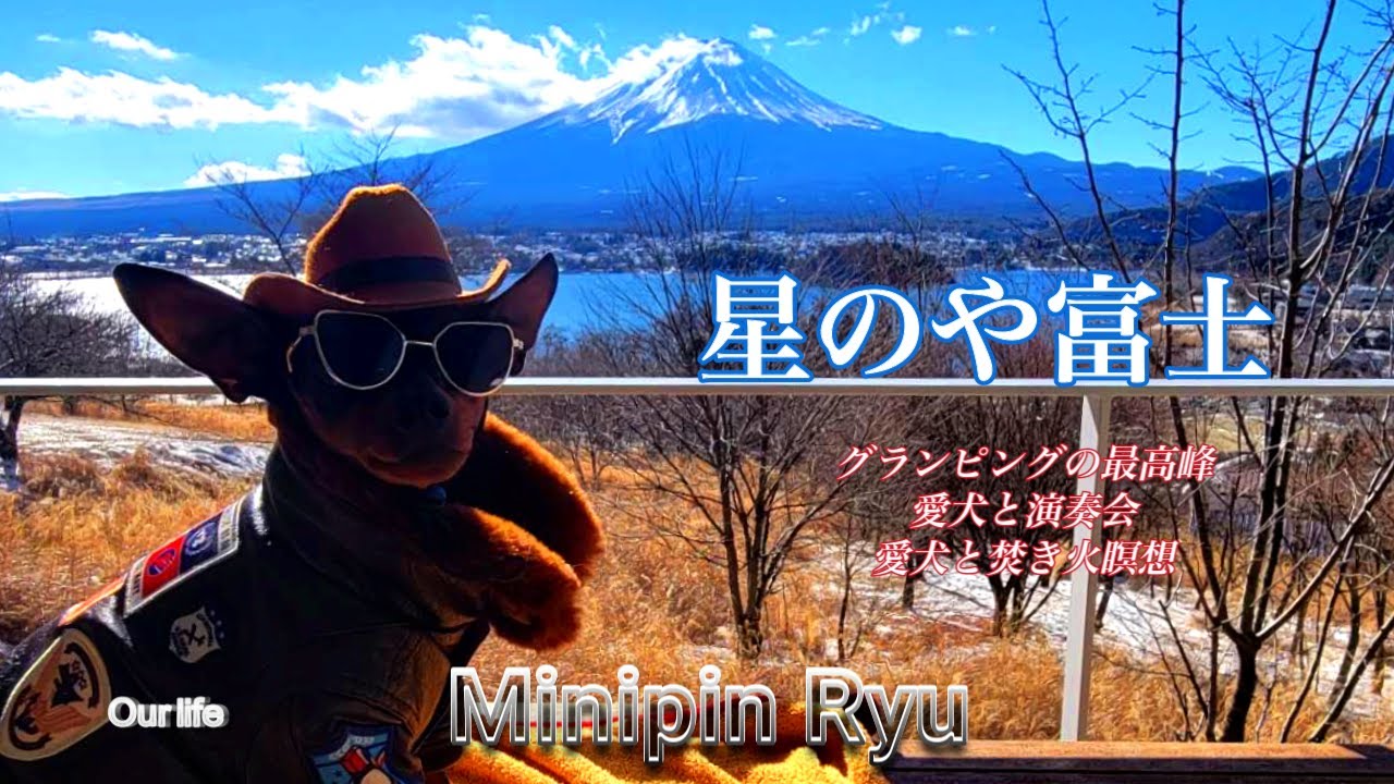 愛犬と星のや富士宿泊/愛犬と大満足アクティビティすごい！/グランピング最高峰/雪景色good