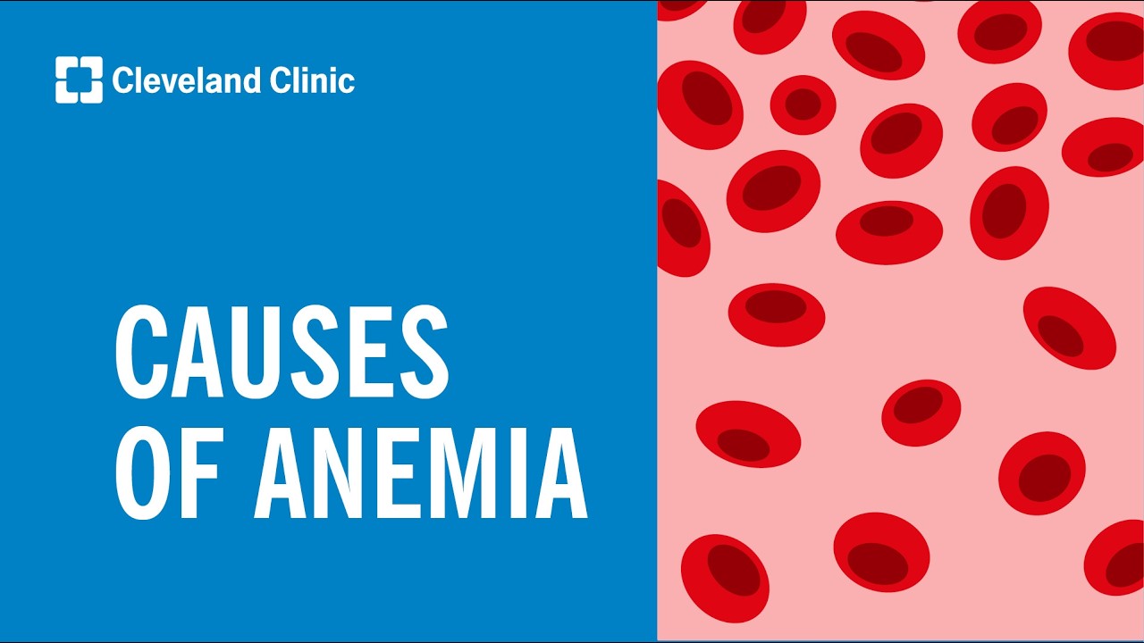 5 Causes of Anemia