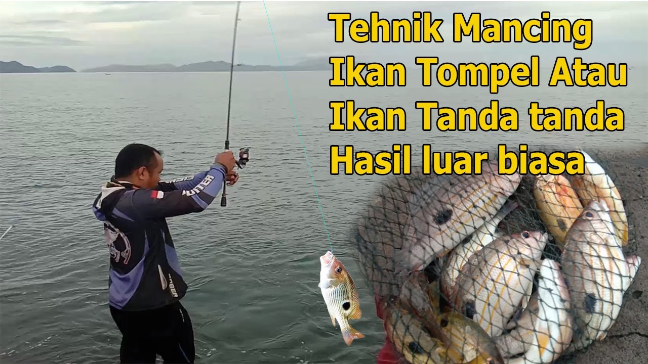 Tehnik Mancing Ikan Tompel/Tanda Tanda/Jenaha, Jangan Asal Mancing