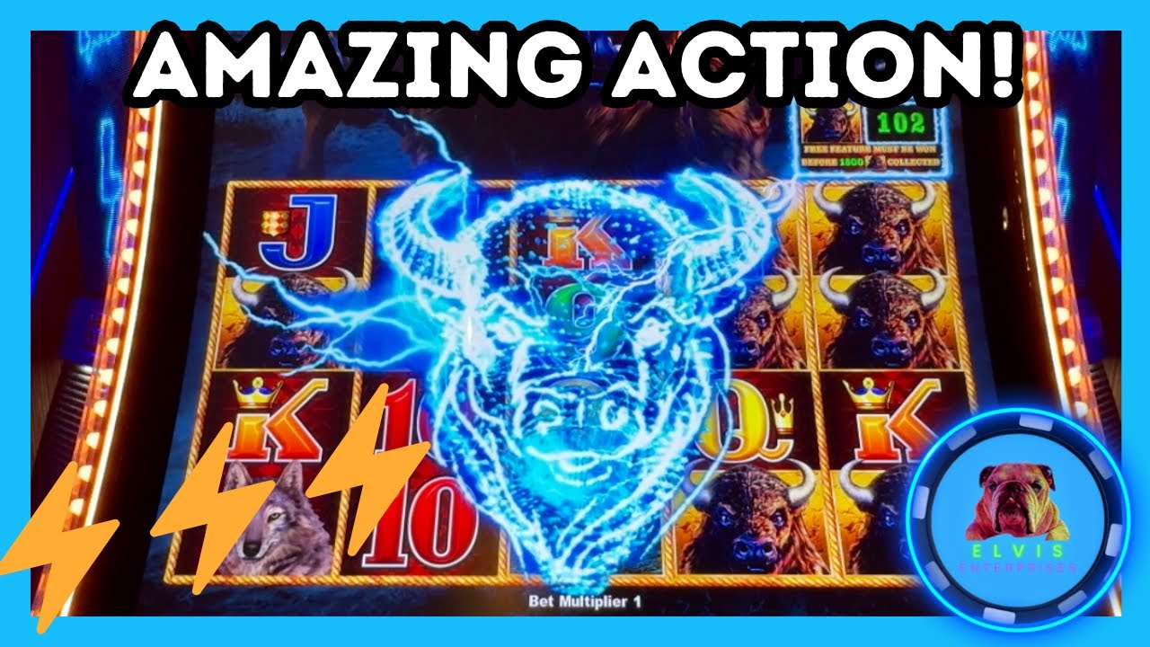 Unveiling the Mysterious Power of BUFFALO⚡️LINK!!!