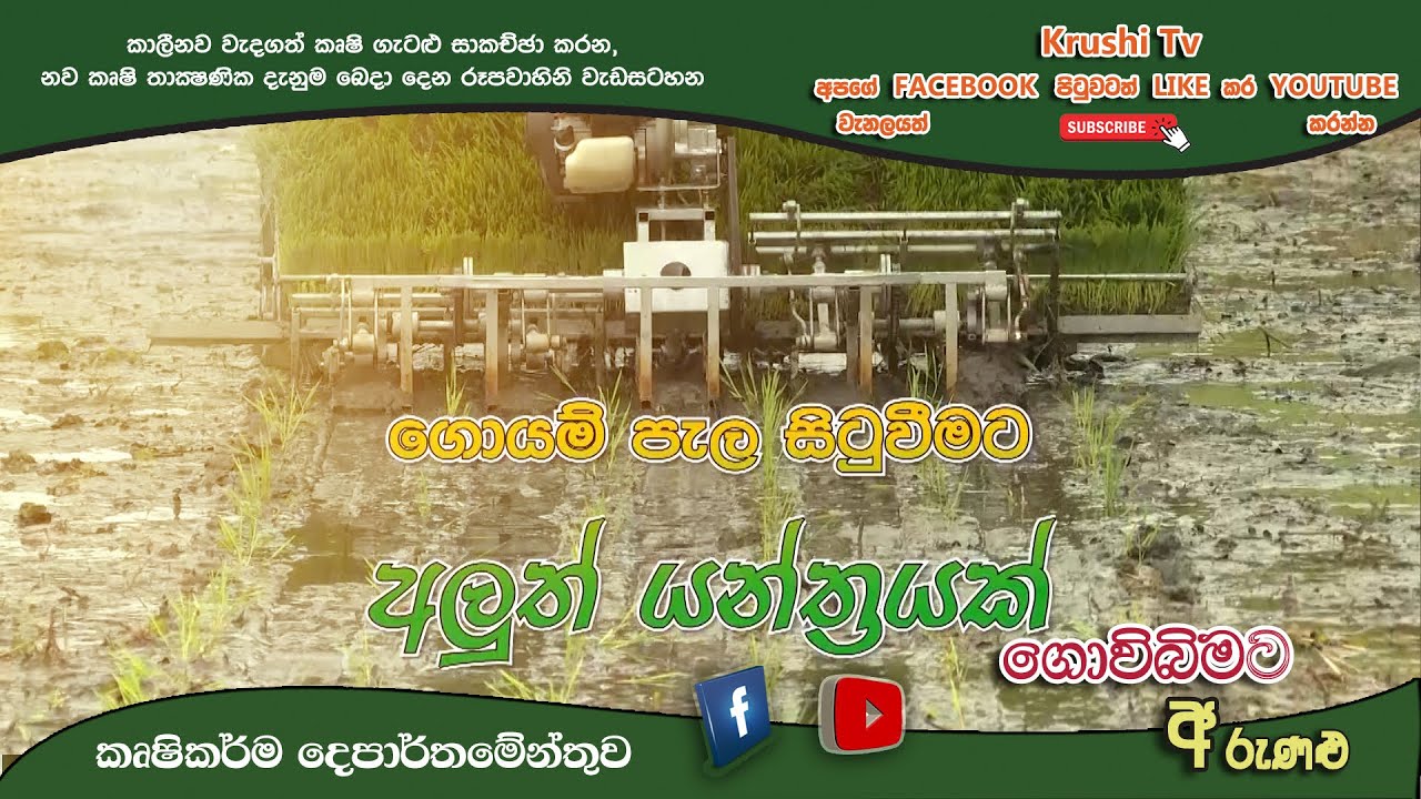 Govibimata Arunalu TV Program | ගොයම් පැල සිටුවිමට අලත් යන්ත්‍රයක් | 2022-02-06 | Krushi Tv