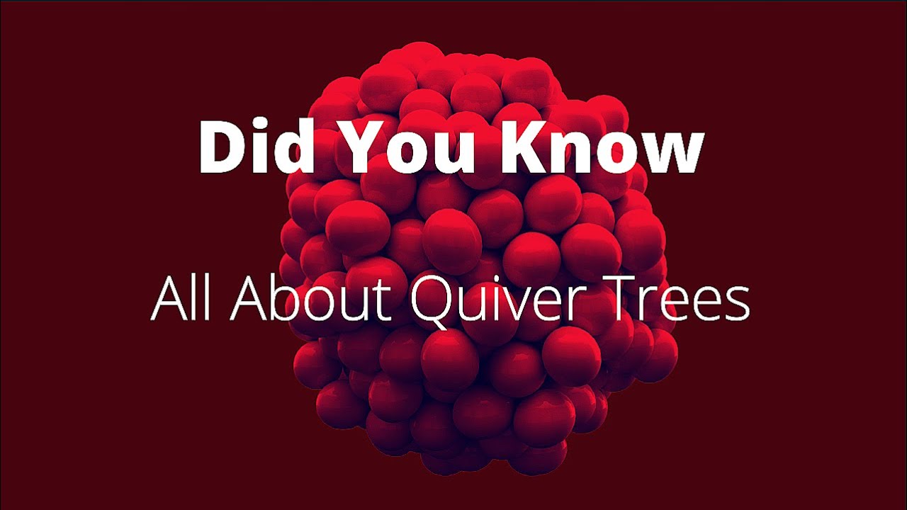 Did You Know  -  All About Quiver Trees