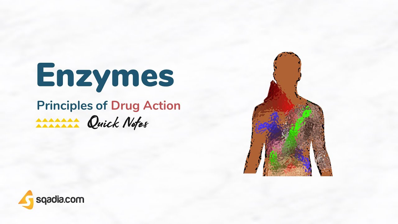 Principles of Drug Action - Enzymes
