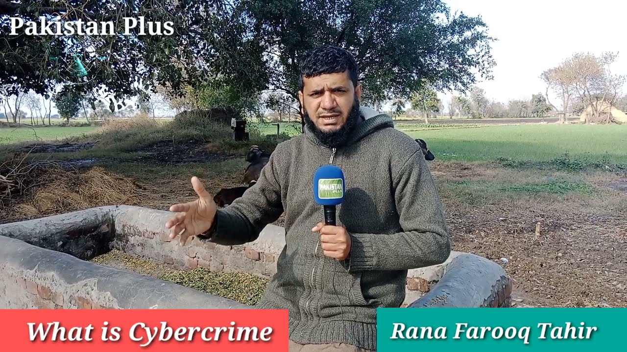 What Is Cyber Crime || Pakistan Plus ||
