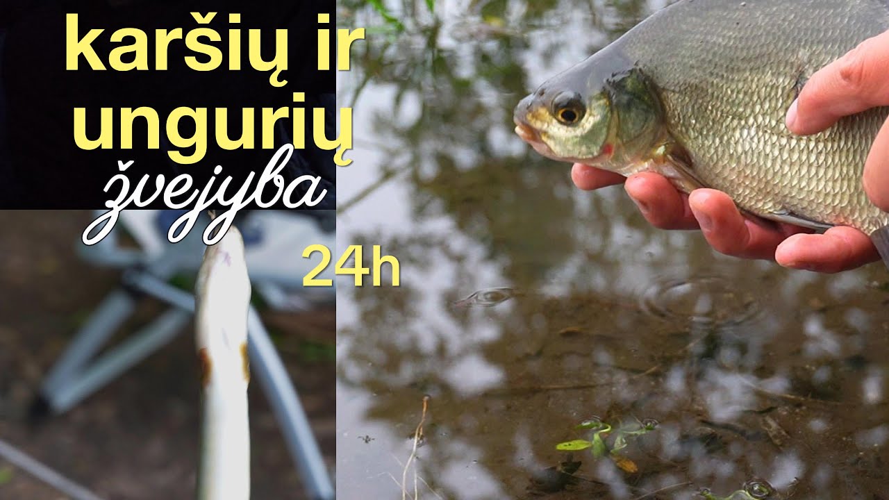 Naktiniai Karšiai ir Unguriai – Žvejybos Patirtis Tamsioje Ramybėje   [KONKURSAS]