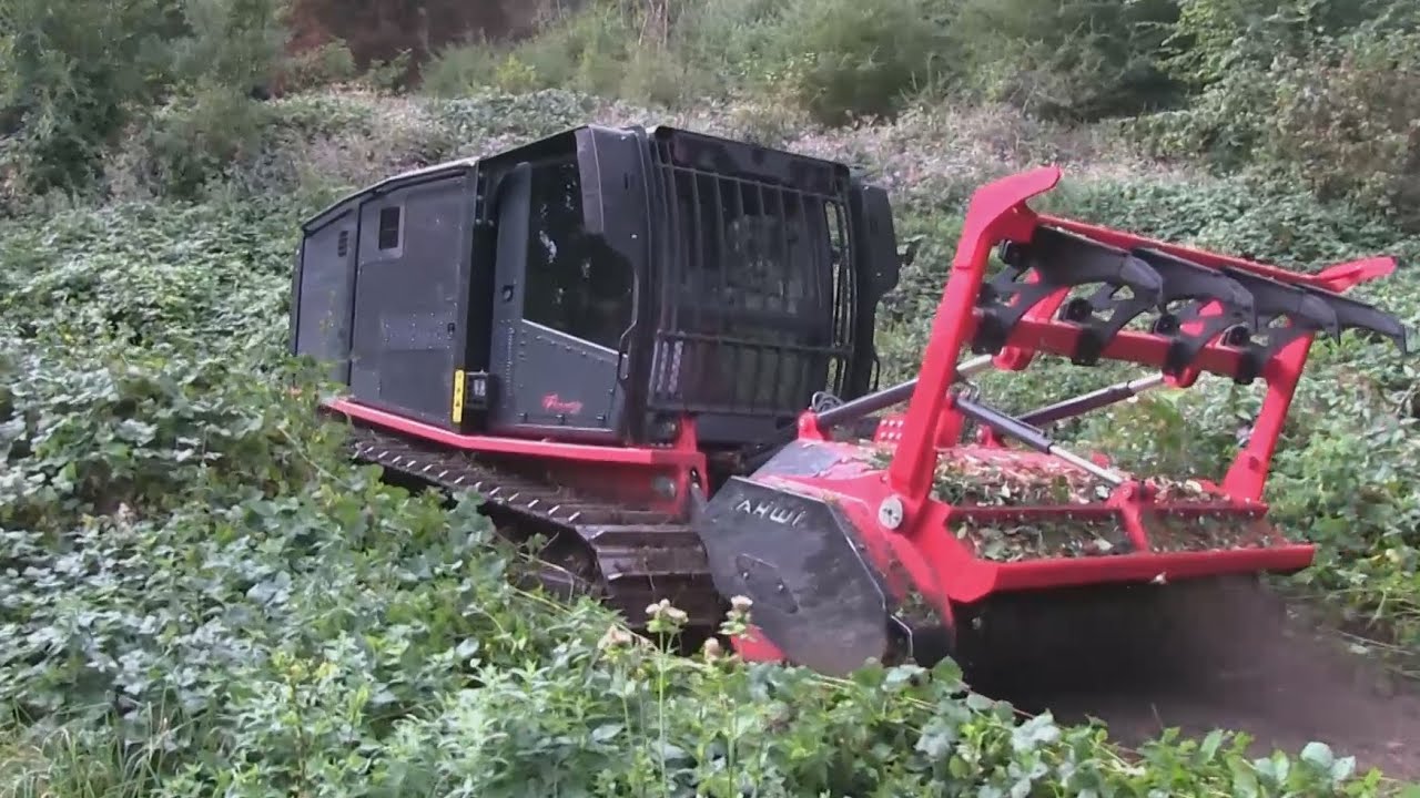 Ahwi/Prinoth Raptor 300 - Lu Kramberg