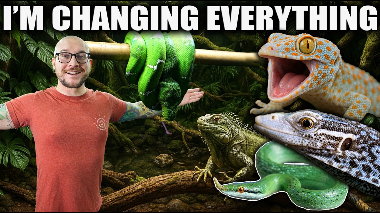 I'm Changing EVERYTHING! New Species, New Enclosures, MORE Animals