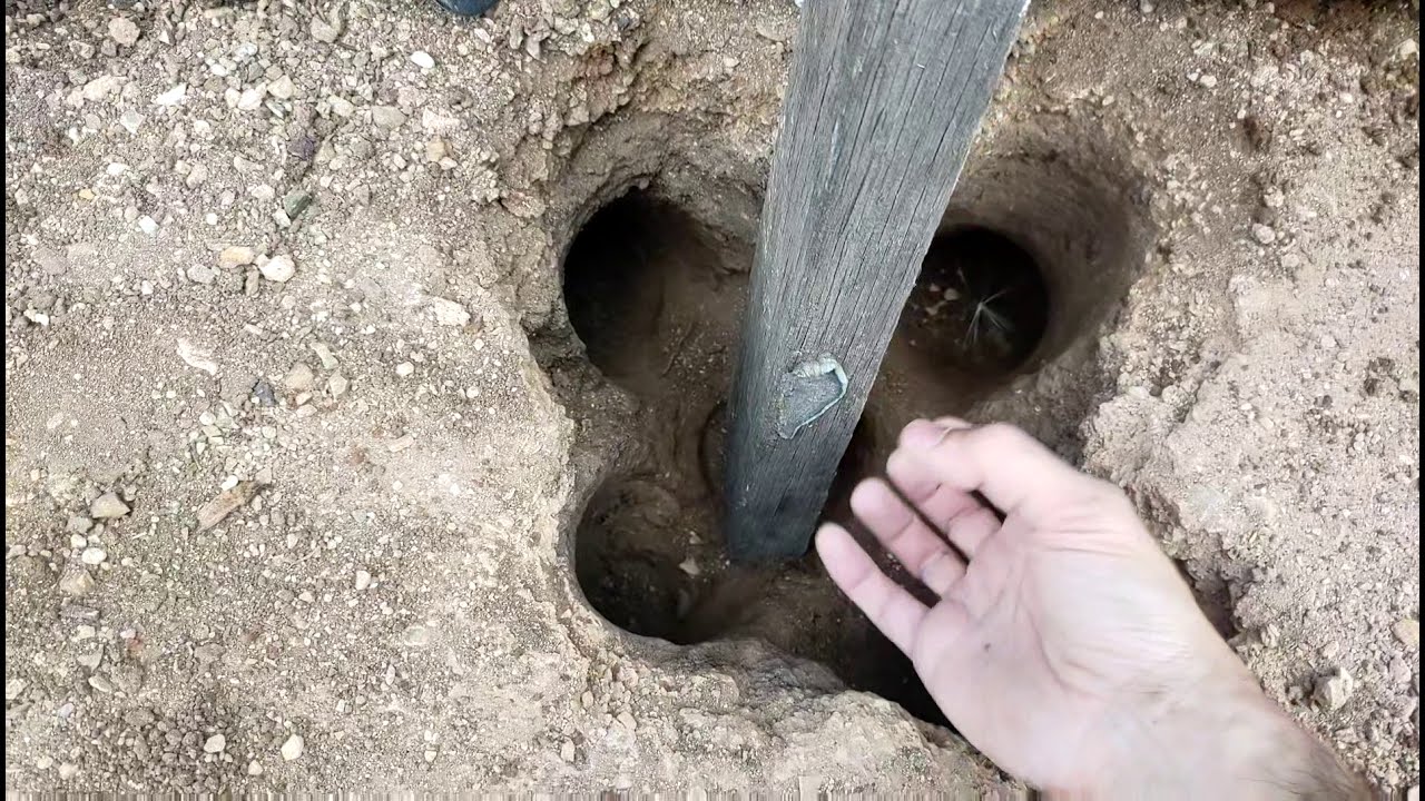Digging a fence post hole. Clever method simulates tree roots