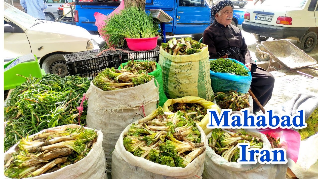 Mahabad Iran mountain vegetable market2022شلوغ ترین بازارسبزیجات کوهی/مهابادایران#wakwithShadikurd