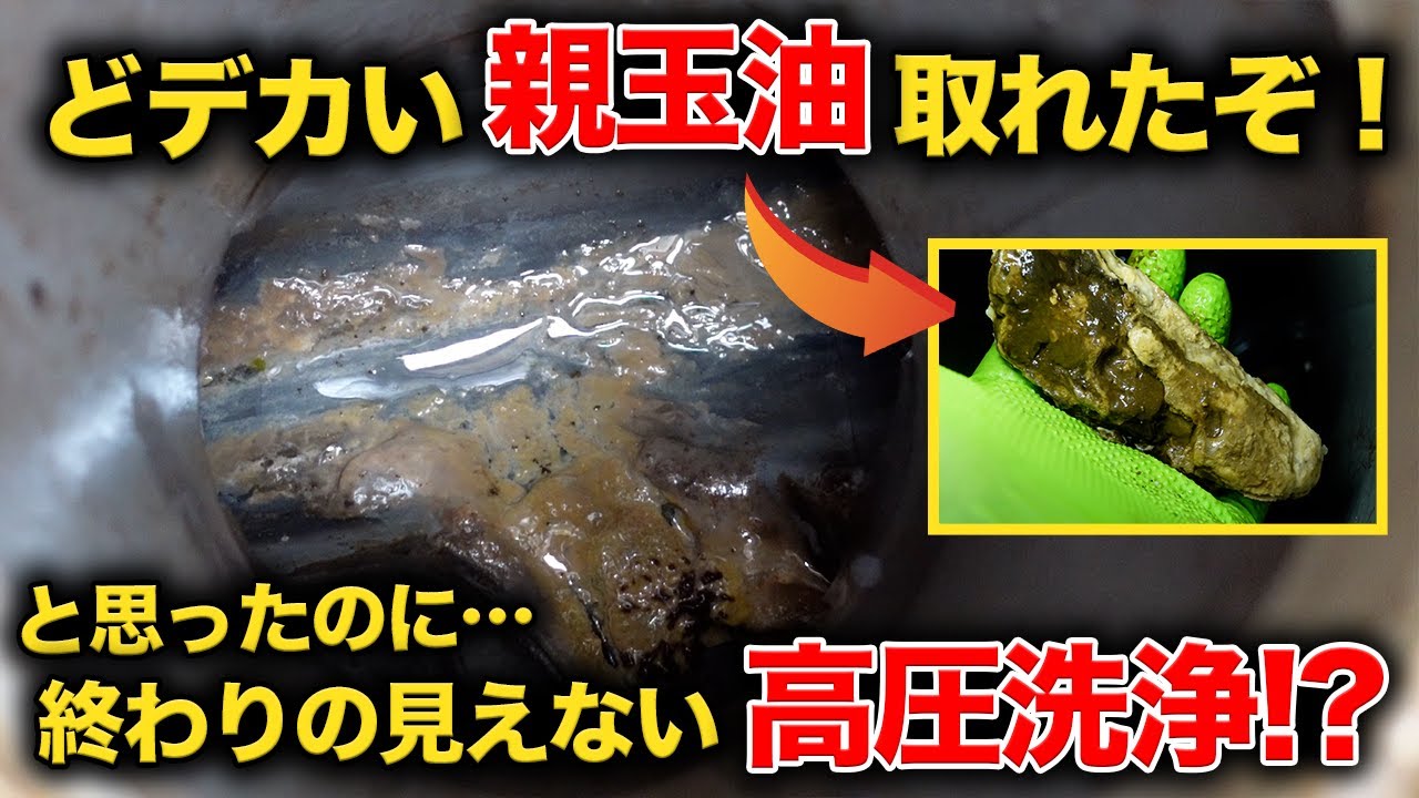 終わりが見えない高圧洗浄！20年くらいかけて出来た油の正体とは？【花のお掃除 #304】