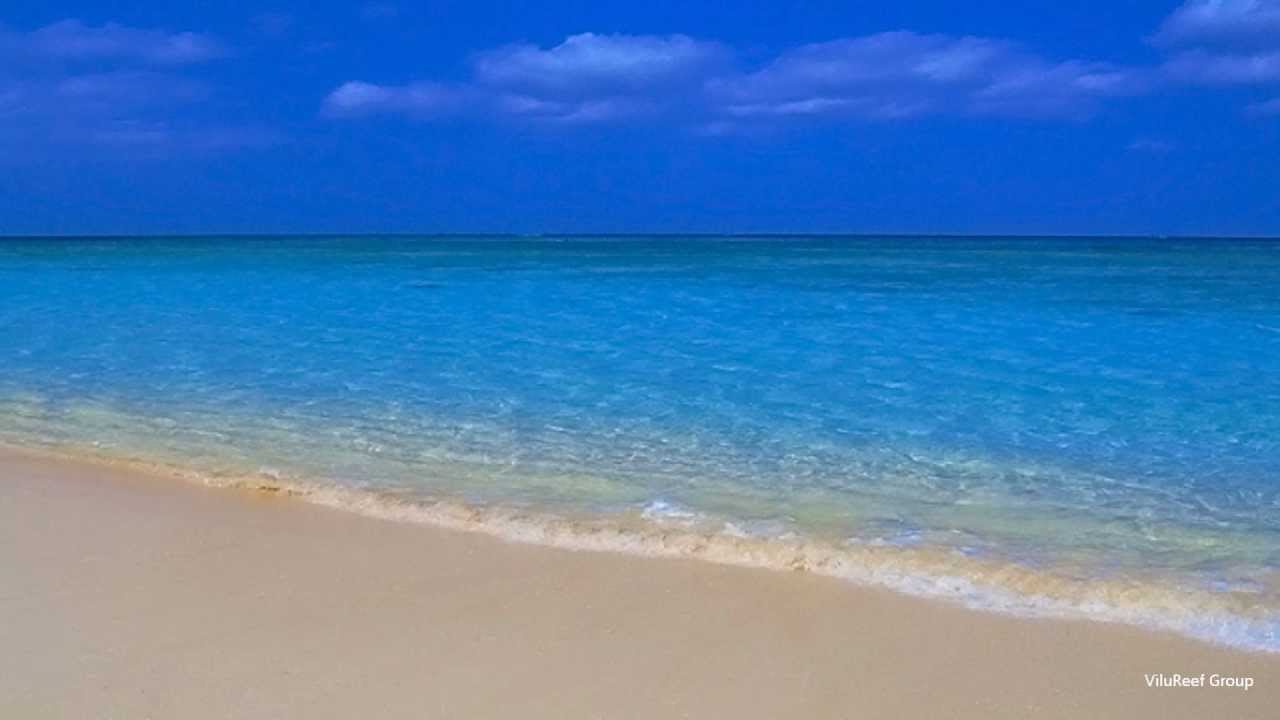 【作業用BGM】沖縄の海とカモメと波の音/Healing and Relaxing 2 hours