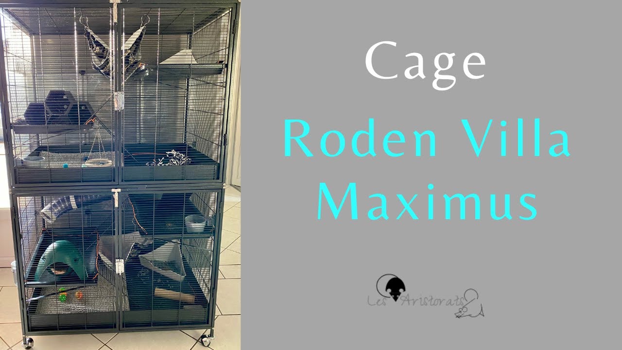 Cage RODEN VILLA / MAXIMUS pour Rats & Furets
