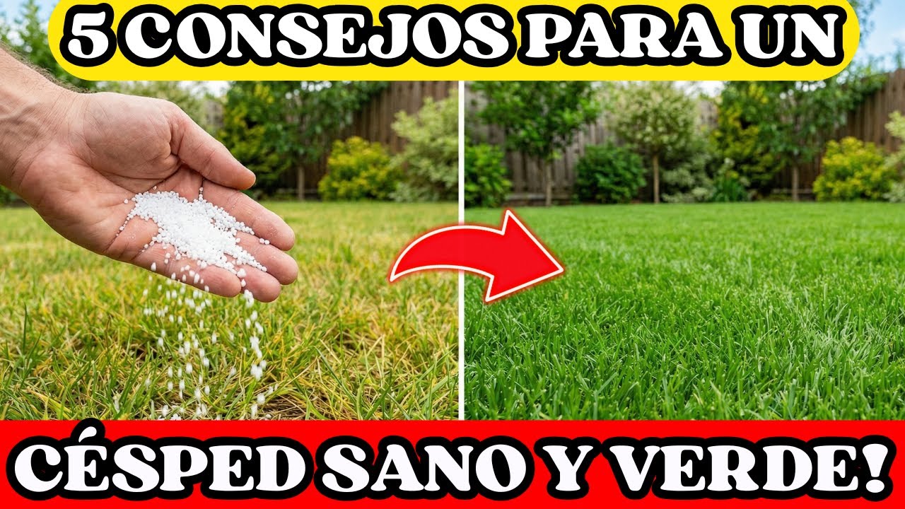 ¡DEJA DE COMETER ESTOS 5 ERRORES! están Matando tu Césped y Jardín 🌿