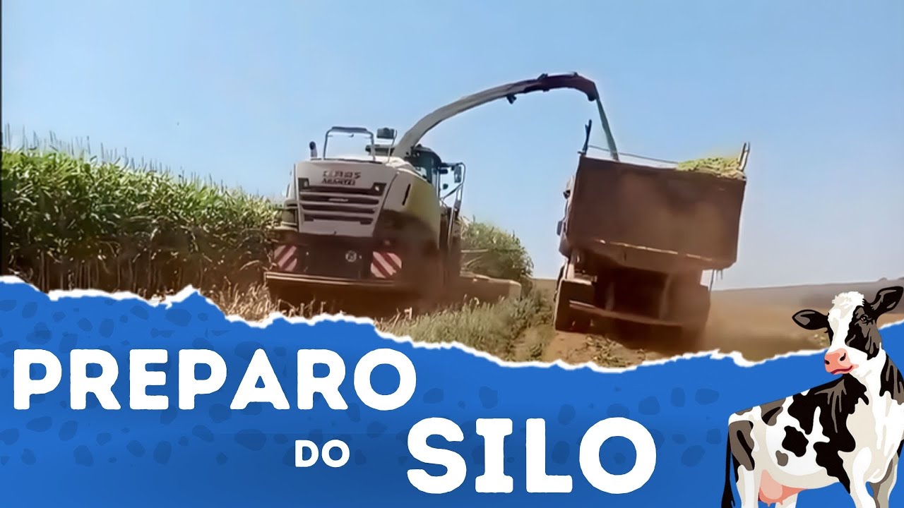 PREPARO DO SILO  | Fazenda CCL