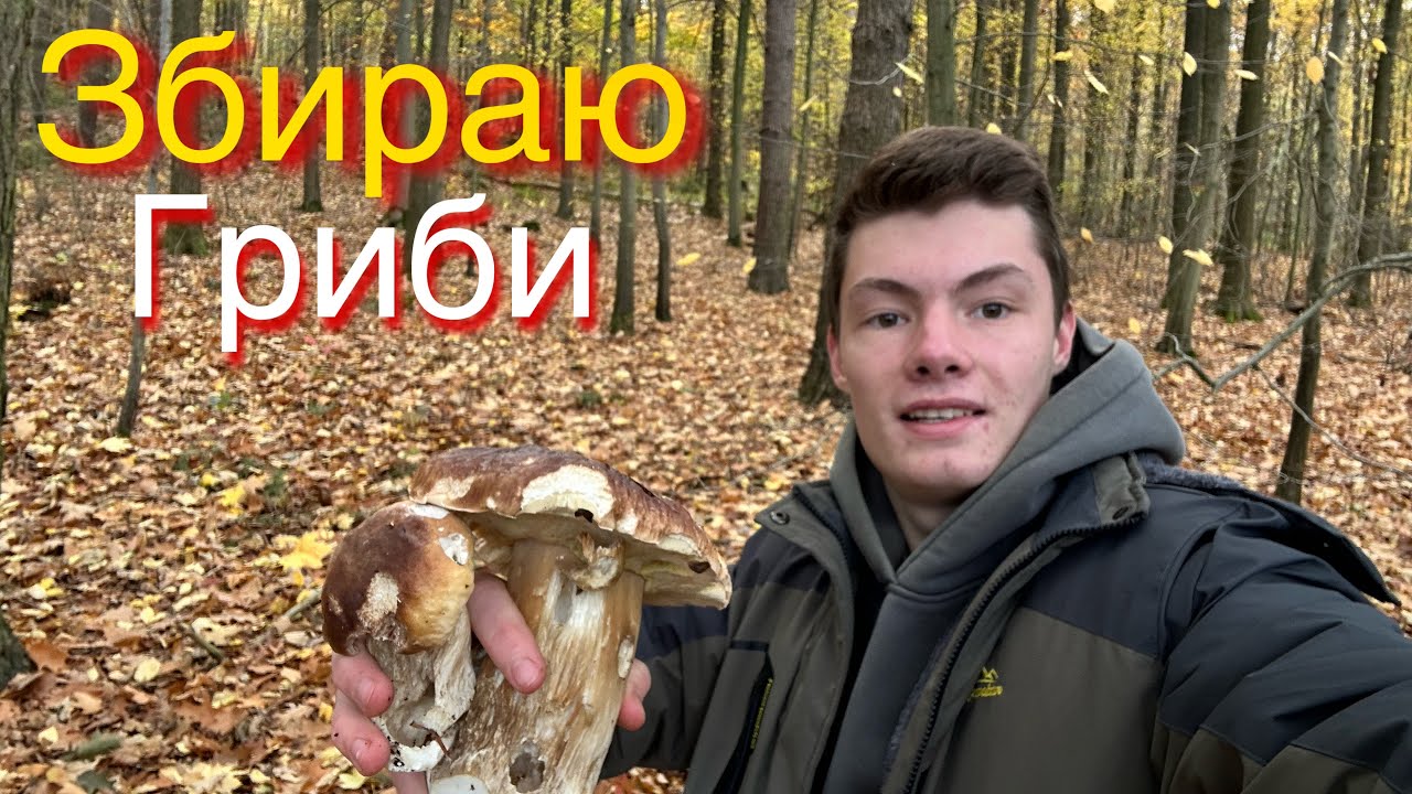 Збираю гриби! Натрапив на білі!Опеньок ціла сумка!Закинуті шахти!