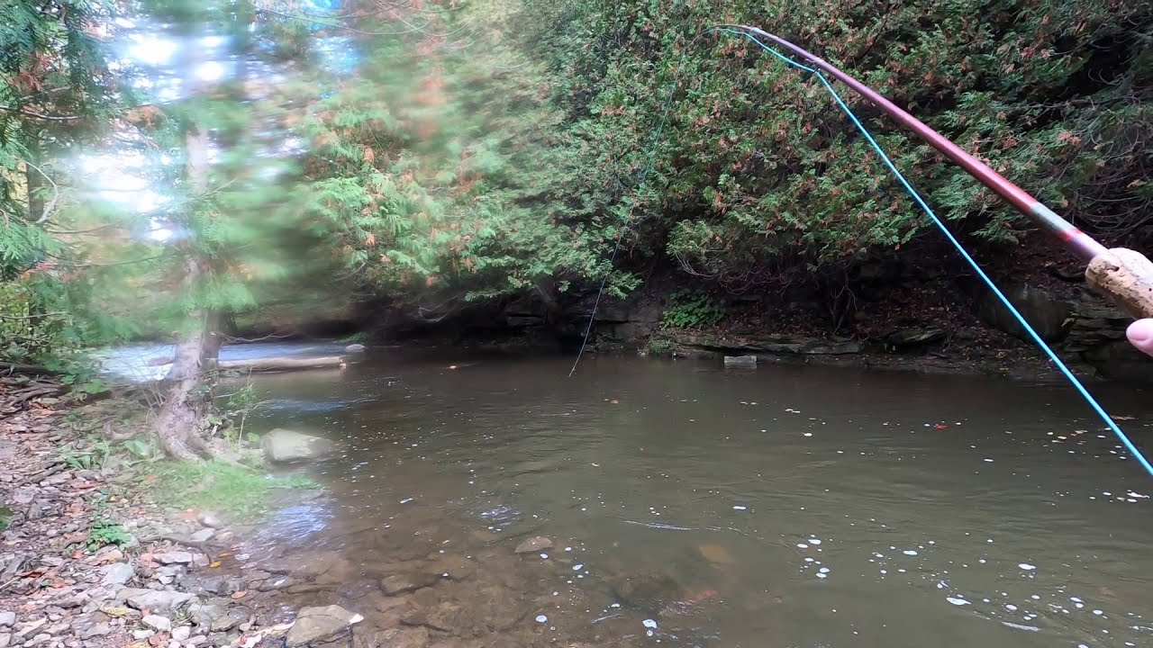 Fly fishing for Wild Rainbow Trout on a small, Southern Ontario stream.