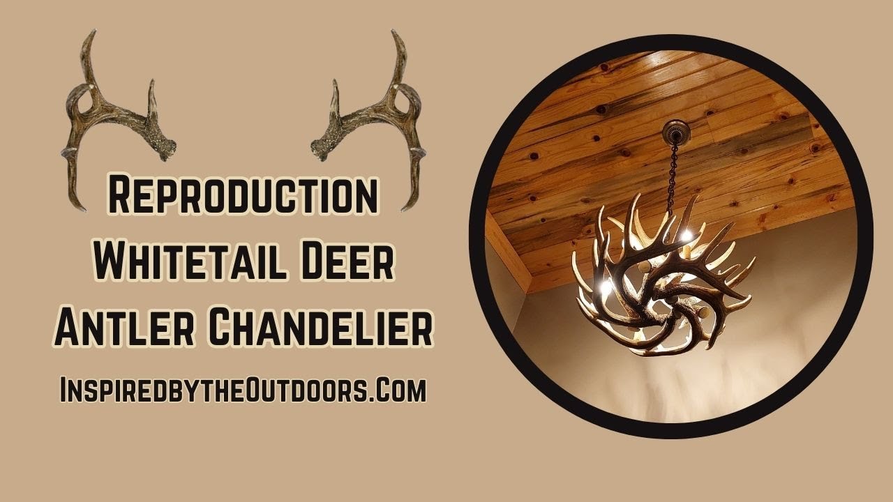 Unboxing - Whitetail Deer 9 Antler Reproduction Chandelier
