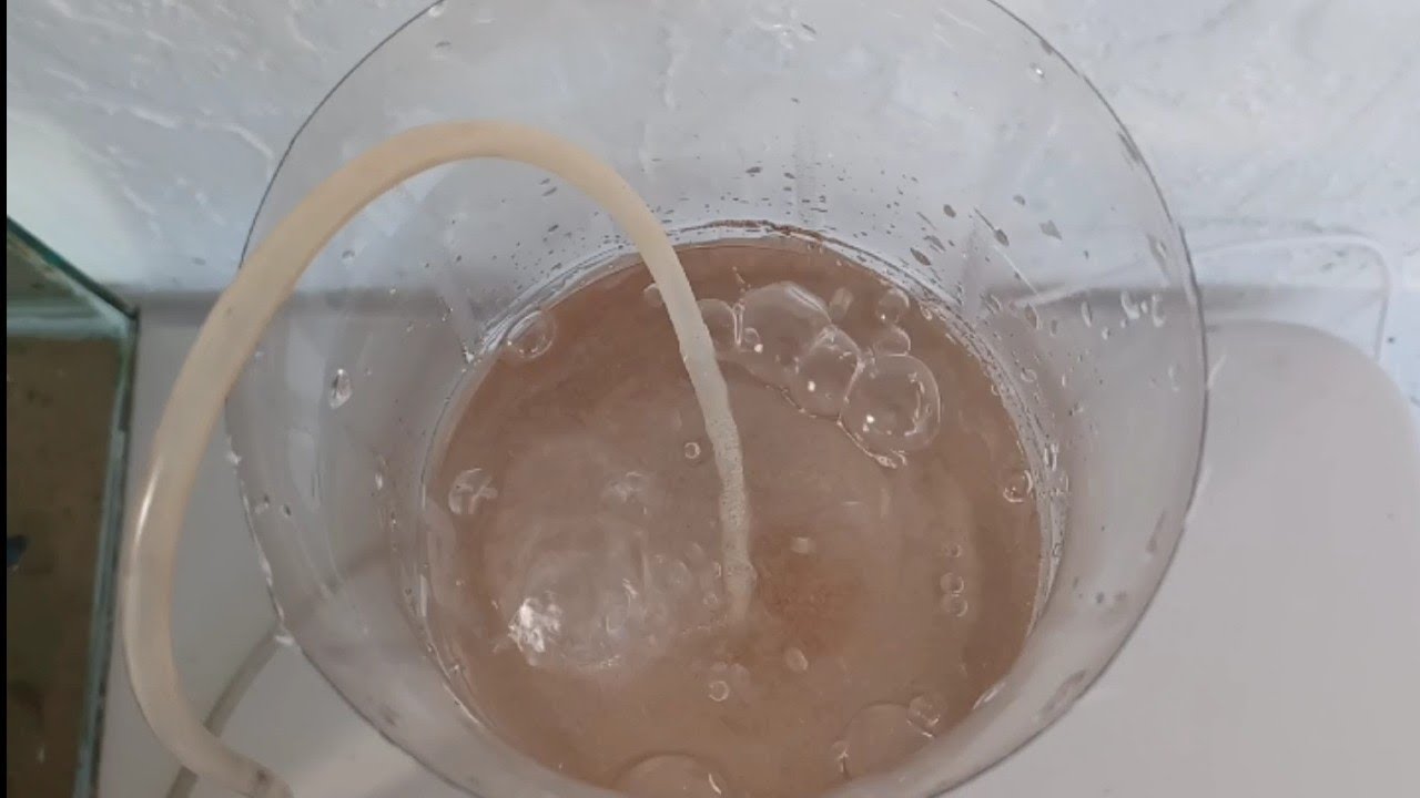 Artemiero Casero (Eclosión de Artemia)