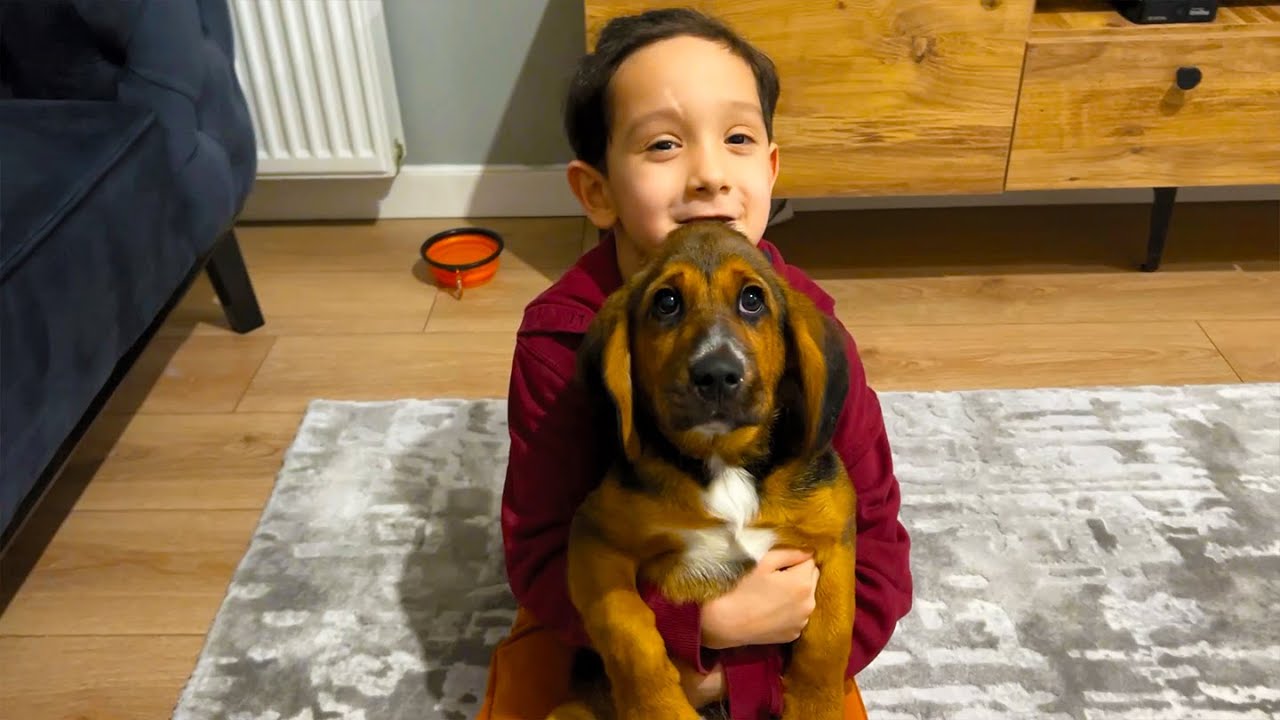 ALİ URAS İLE KUZENLERİMİZİN YENİ KÖPEĞİNİ SEVMEYE GİTTİK !! ACILI NOODLE YEDİK.!!!