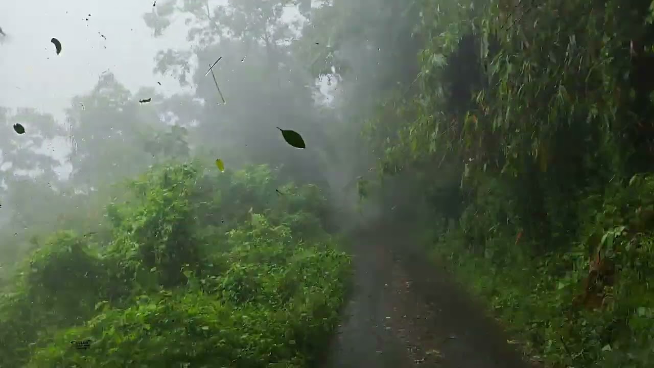 Monsoon Gavi Forest bus ride