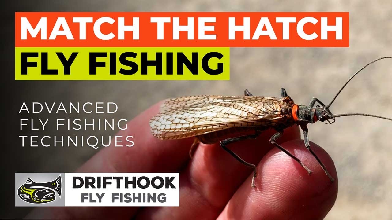 Match The Hatch Fly Fishing