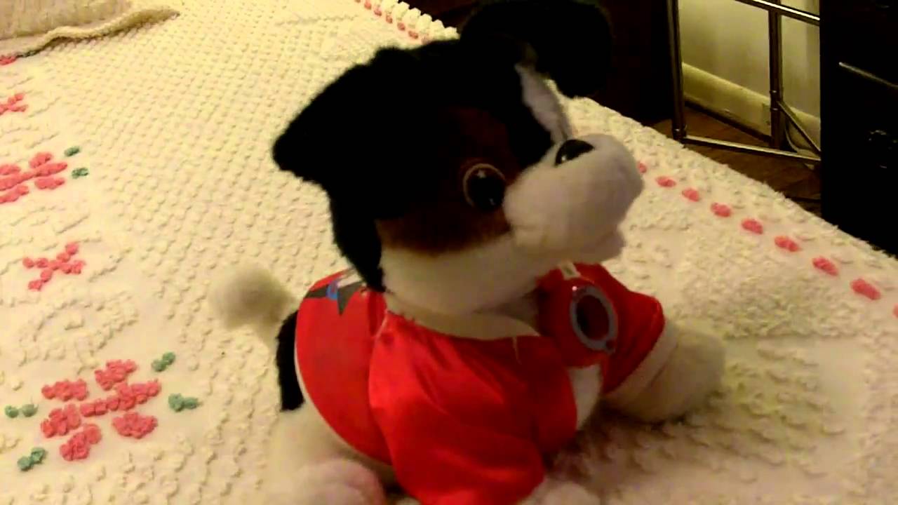Toby Terrier (1/2)