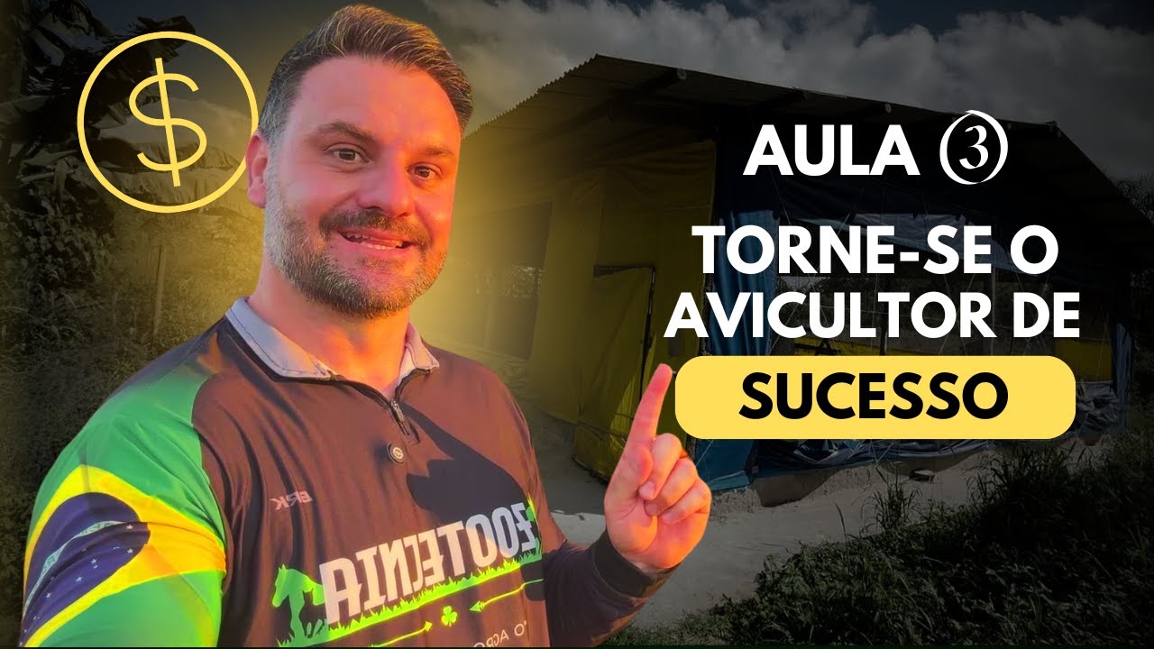 Aula 3 - Mapa Completo: Do Zero ao Lucro