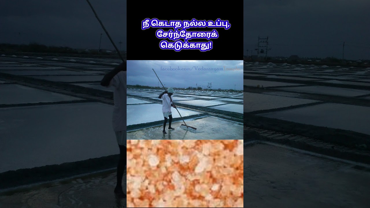 Be the salt of heaven || பரலோக உப்பாய் இருங்கள் #tamilmusicshorts #tamilworship #yesupaadal #உப்பு