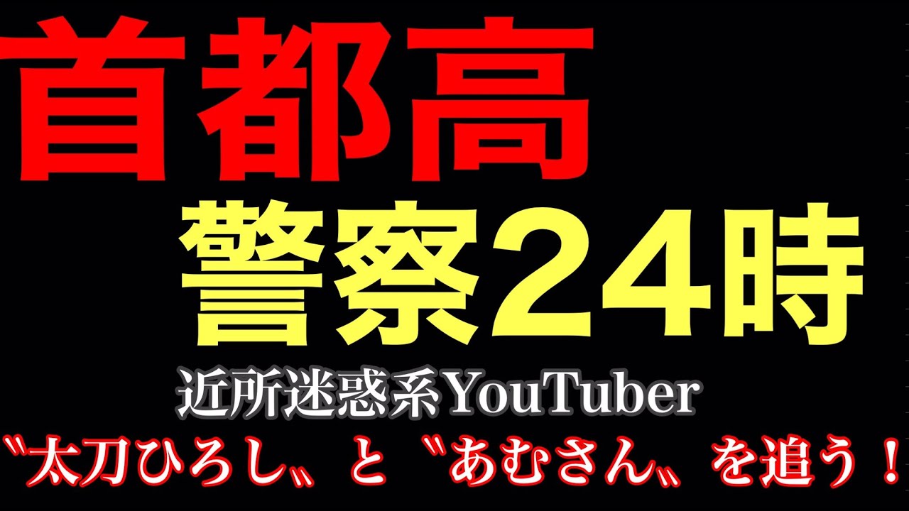 【#assettocorsa 】首都高警察２４時！近所迷惑系YouTuber〝太刀ひろし〟と〝あむさん〟を追え 【アセコル首都高】 #shorts