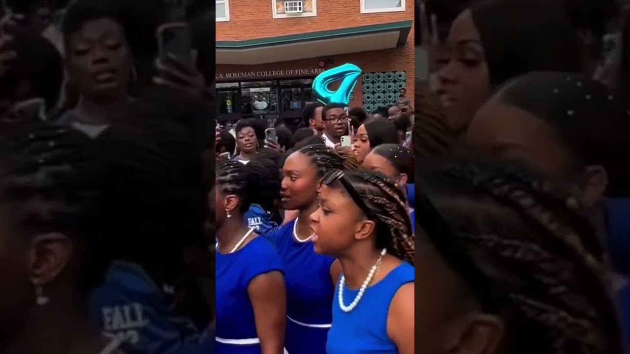 The Alpha chapter of Zeta Phi Beta 💙🕊️ at Howard University 🔴🦬🔵