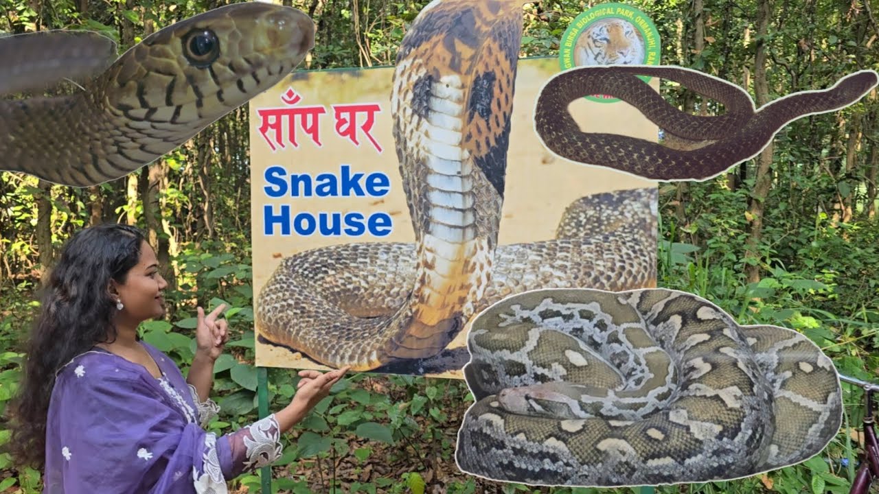 Snake House | साँप घर | Birsa Biological Park | Ormanjhi Park Ranchi | Jharkhand Famous Place