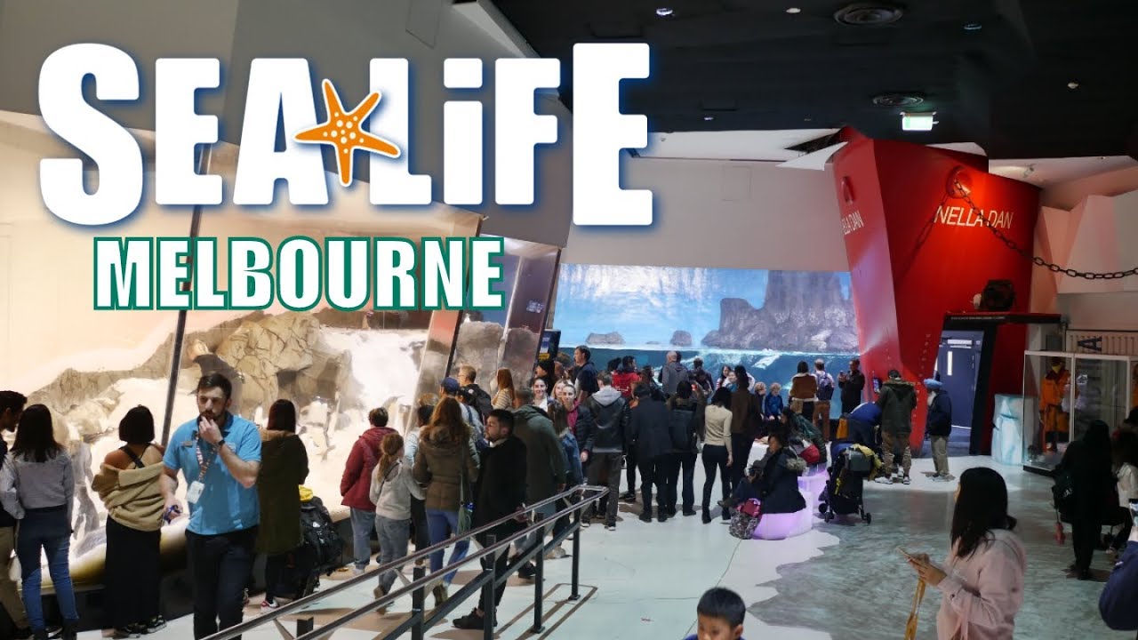 MELBOURNE SEALIFE AQUARIUM & PENGUIN PLAYGROUND
