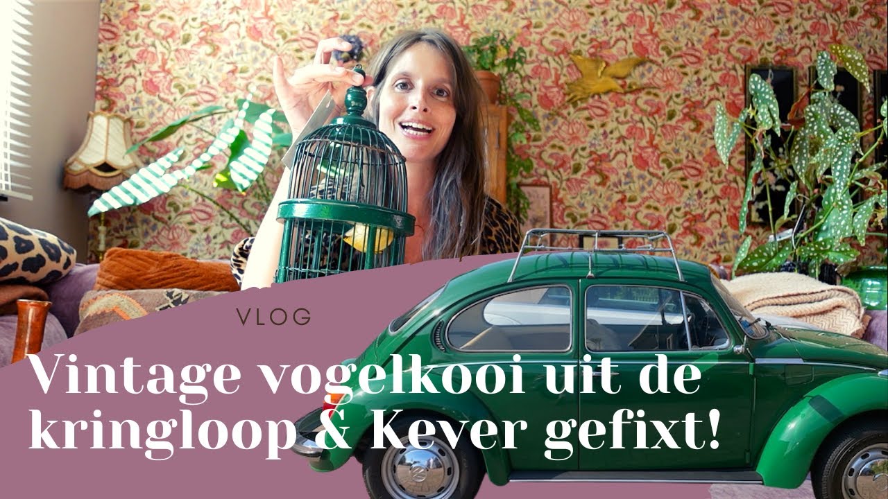VLOG - vintage VOGELKOOITJE uit de KRINGLOOP - prachtige EETTAFEL gespot - KEVER gefixt!