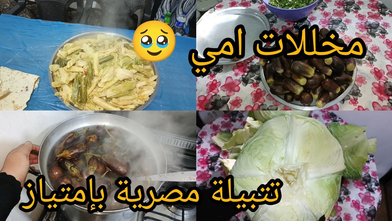 فيديوا بسيط ♥️تتبيله مصرية من الدرجة الأولى 😭ليش اتاخرت عليكم 