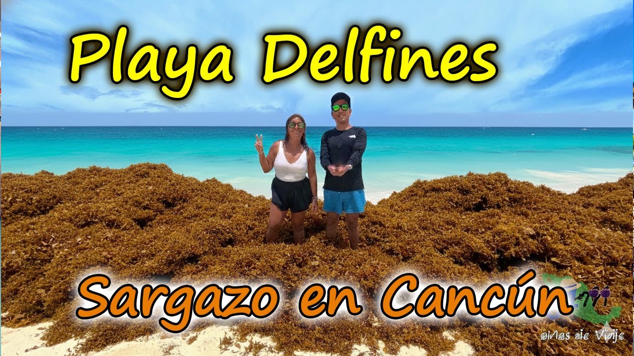 PLAYA DELFINES 🏖️ CANCÚN con SARGAZO 🌿: ¿Aún vale la pena? | La REALIDAD 2025