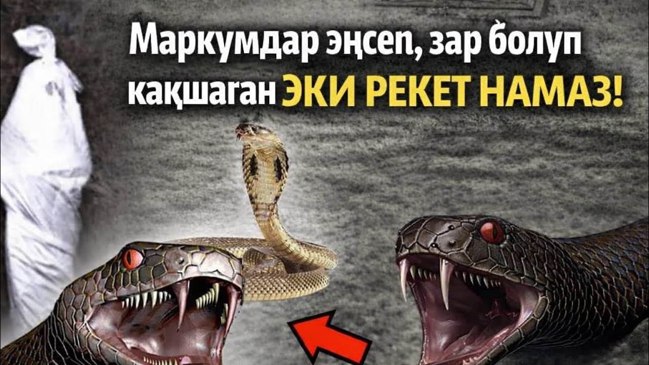 «Маркумдун армандары»2-сабак.|Маматжусуп уулу Кыялбек