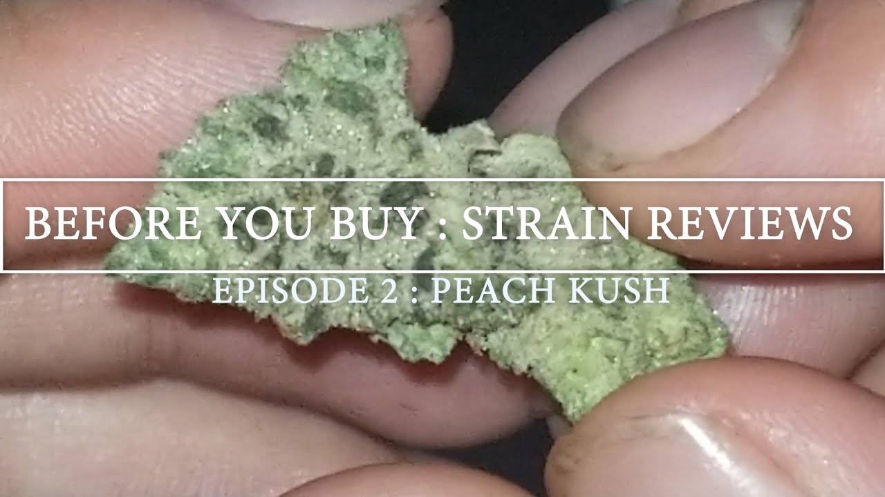 Peach Kush Strain Review - Before You Buy Medicinal Cannabis From Alien Genetics