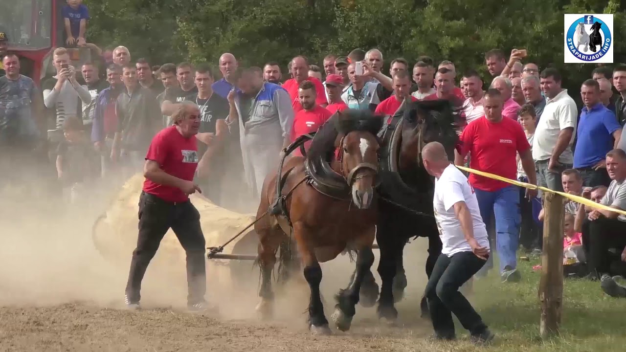 -Najava prve &scaron;traparijade u Železniku kod Beograda -27.10.2019.